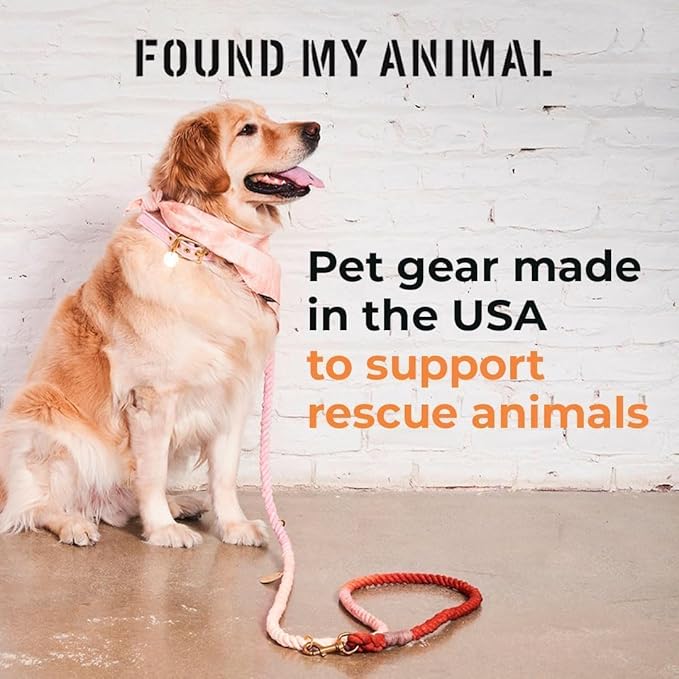 Found My Animal - Navy Cotton Cat & Dog Harness (Large) - Hand Dyed & Crafted Dog Harness - Adjustable, Pet Harness with Solid Brass Rings & Buckle - Dog Training Harness - Made in USA