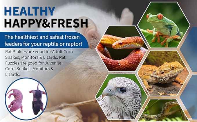 MiceDirect EST. 2003 20 Frozen Rat Combo Pack 10 Rat Pinkies and 10 Rat Fuzzies Feeders Snake Food for Baby Ball Pythons and Boas (.5-2.5 in)(120 Grams Min)