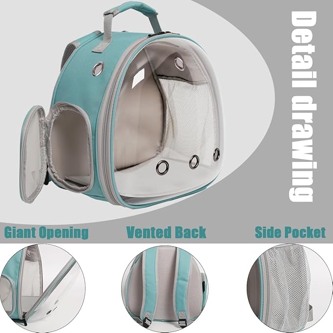 Guinea Pig Backpack Carrier, Bearded Dragon Carrier Backpack with Clear Bubble Window,Small Animal Travel Backpack for Hedgehog Rat，Chameleon,Rabbit,Sugar Glider,Airline Approved (Green, Backpack)
