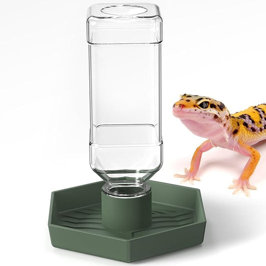 Reptile Water Dispenser-Bearded Dragon Water Bowl - Small Water Dish for Tortoise - Bowls for Reptiles & Amphibians (S)