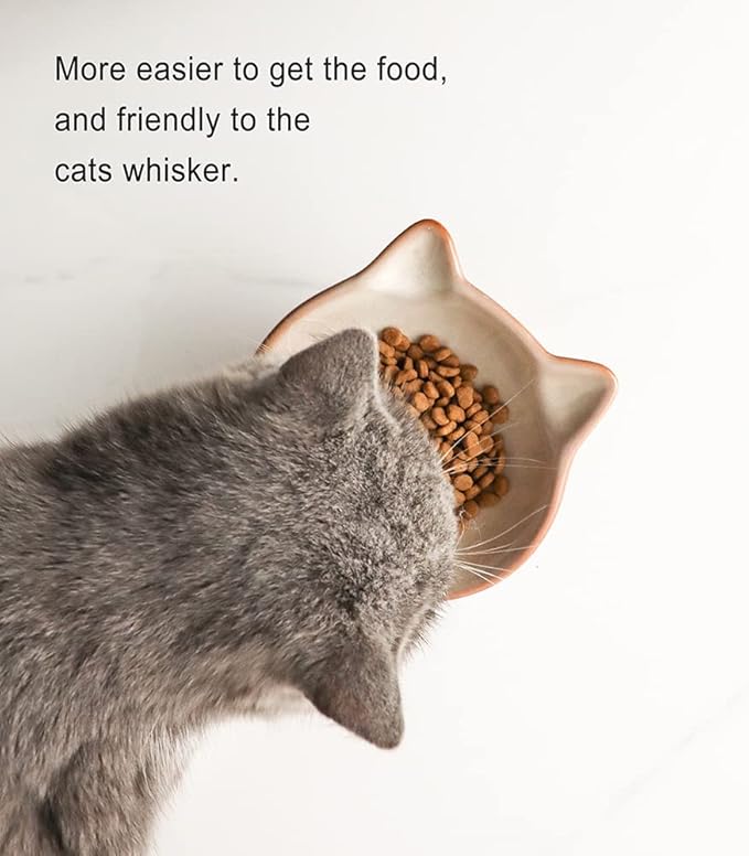 Nihow Elevated Cat/Dog Bowls: 5 Inch Ceramic Raised Cat Food & Water Bowl Set for Protecting Pet's Spine - Feeding & Watering Supplies for Pets - Elegant Brown (4.5 OZ /1 PC)