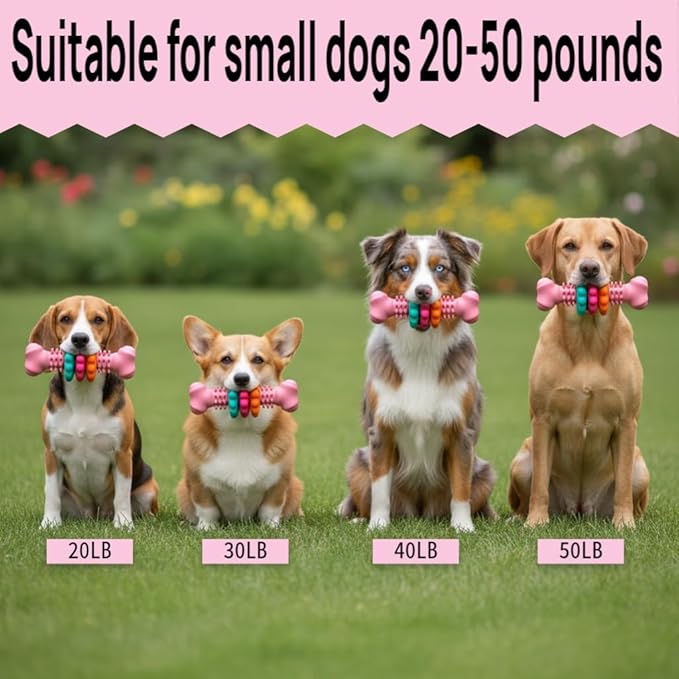 Puppy Teething Toy, Durable Chew Toy for Small Dogs, Interactive Bone Toy to Keep Puppies Busy, Teeth Cleaning Dog Toy for Small Breeds