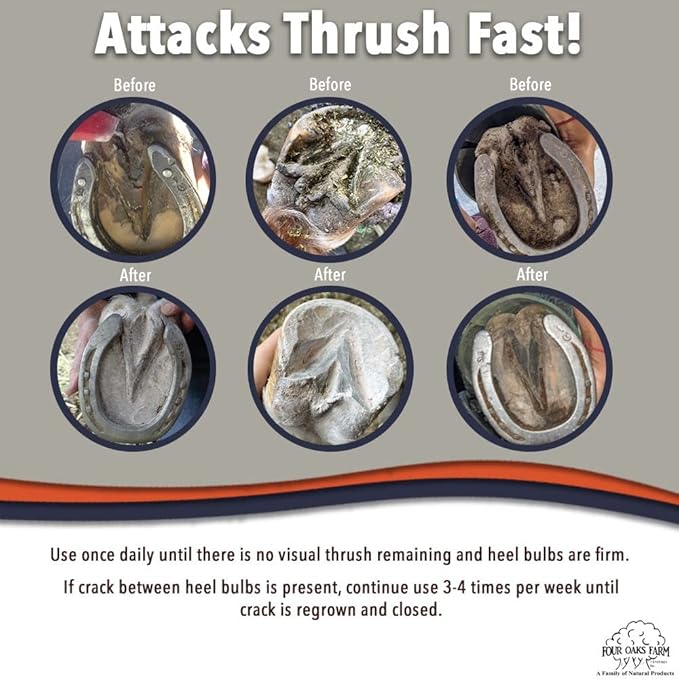 No Thrush Dry Powder Treatment for Horses - Wound Care, Scratches, Rain Rot, Mud Fever, Coat Issues - All Natural Ingredients, Non-caustic, Easy to Use Powder Formula (2.5 oz)