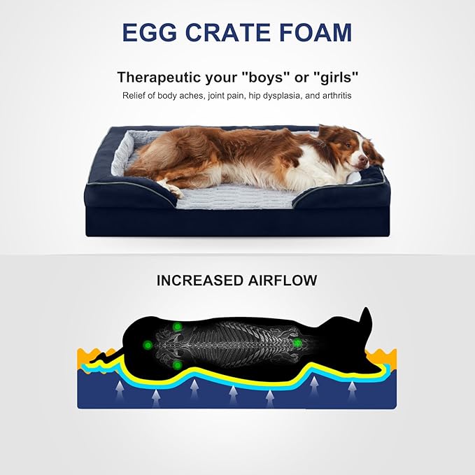 FURTIME Orthopedic Dog Bed for Medium Dogs - Washable Dog Sofa Beds Medium, Supportive Foam Pet Bed with Removable Washable Cover, Waterproof Lining and Nonskid Bottom, Navy Blue