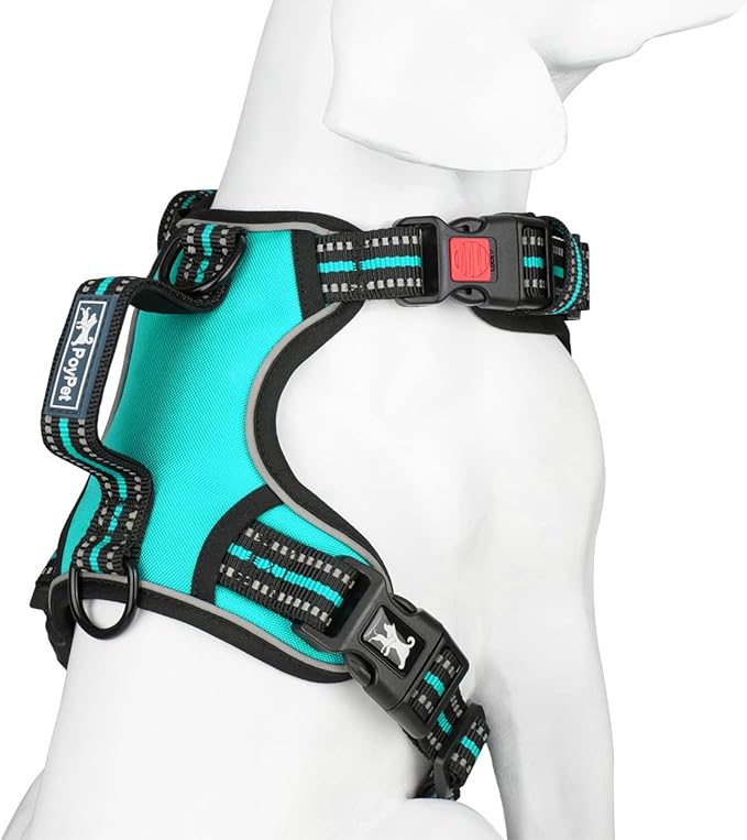 PoyPet No Pull Dog Harness, No Choke Front Clip Reflective Dog Vest with Soft Padded Vertical Handle, 3 Leash Attachments for Small Medium Large Dogs (Mint Blue,XL)