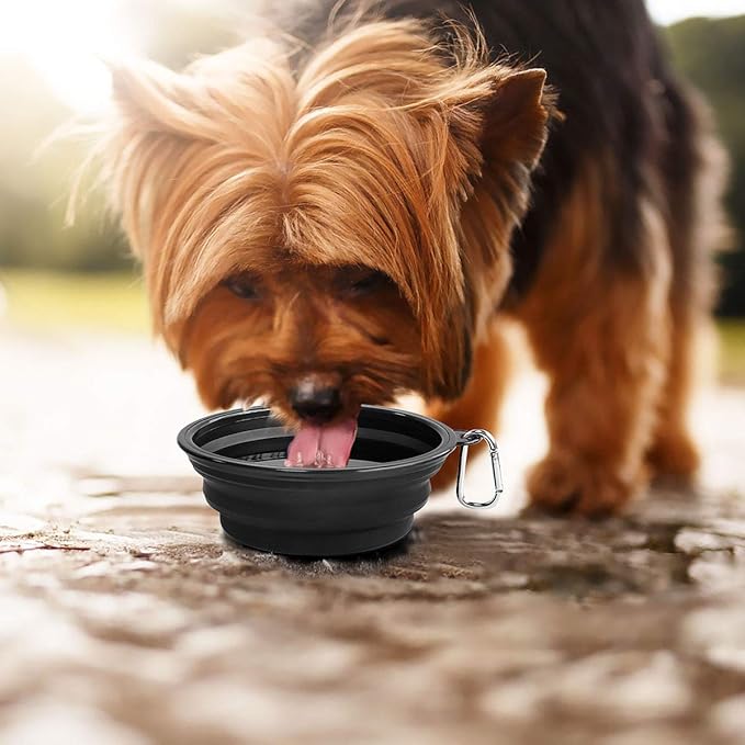 Kytely Large Collapsible Dog Bowls 2 Pack, 34oz Foldable Dog Travel Bowl, Portable Pet Water Food Bowl with Clasp, Pet Cat Feeding Cup Dish for Traveling, Walking, Hiking (Black+Balck)