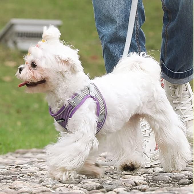 AIITLE Escape Proof Dog Harness - Step in Adjustable Dog Harness No Choke Over with Breathable Mesh and Quick-Release Buckle for Summer- Outdoor Walking, Camping, Training for Medium Dogs Purple XL