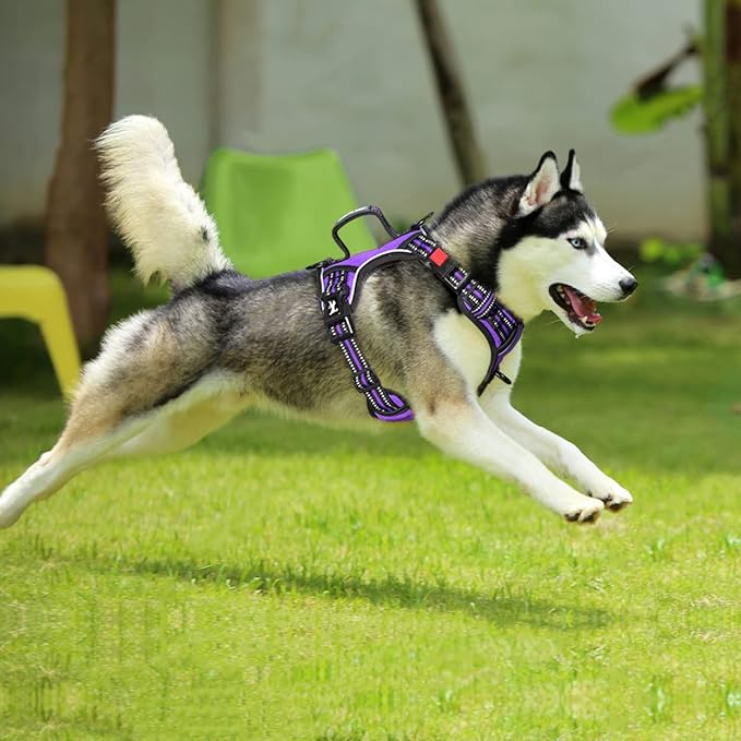 PoyPet No Pull Dog Harness, No Choke Front Clip Reflective Dog Vest with Soft Padded Vertical Handle, 3 Leash Attachments for Small Medium Large Dogs (Purple,M)