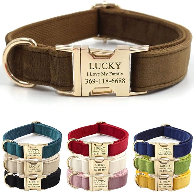PETDURO Custom Dog Collar Personalized with Name Engraved Quick Release Rose Gold Metal Buckle for Large Medium Small Girl Dogs - Dog Leash and Bow Tie Available - Soft Comfy Velvet (Brown G, XS)