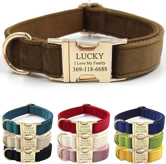 PETDURO Custom Dog Collar Personalized with Name Engraved Quick Release Rose Gold Metal Buckle for Large Medium Small Girl Dogs - Dog Leash and Bow Tie Available - Soft Comfy Velvet (Brown G, XS)