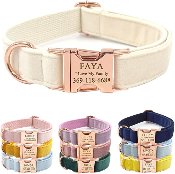 PETDURO Custom Dog Collar Personalized with Name Engraved Quick Release Rose Gold Metal Buckle for Large Medium Small Girl Dogs - Dog Leash and Bow Tie Available - Soft Comfy Velvet (Cream, M)