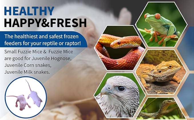 MiceDirect EST. 2003 150 Frozen Mice Combo Pack of Small Fuzzies and 50 Fuzzies Feeders Snake Food for Corn Snakes Ball Pythons Lizards (.5-1.5 in)(500 Grams Min)