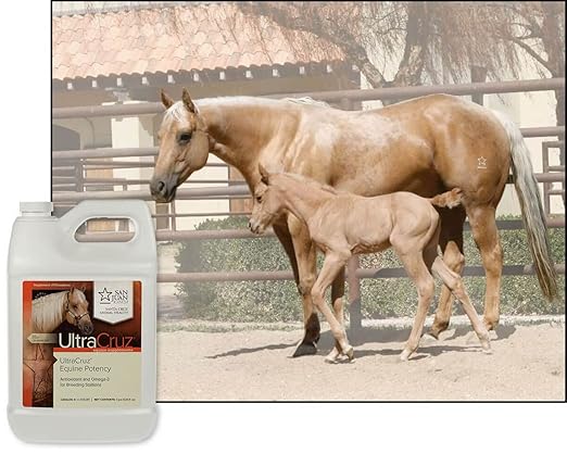UltraCruz® Equine Potency, 1 Gallon
