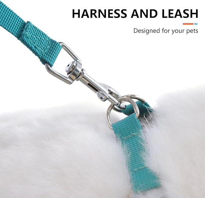 Beirui Small Dog Harness and Leash Set, No Pull Step-in Harness for Puppy, Lightweight Air Mesh Pet Harness for Medium Dogs (Orange, M)