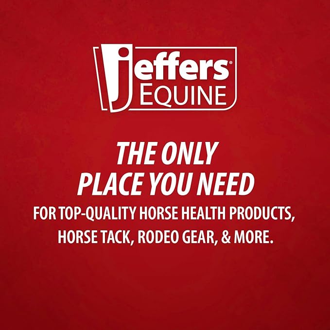 Jeffers Equine Protective Horse Boots 1 Pair Blue - Safe Neoprene Leg Guards & Comfortable Fit, Durable Strap Closures, Front & Hind Support, Equestrian Accessories for Travel & Riding - Medium