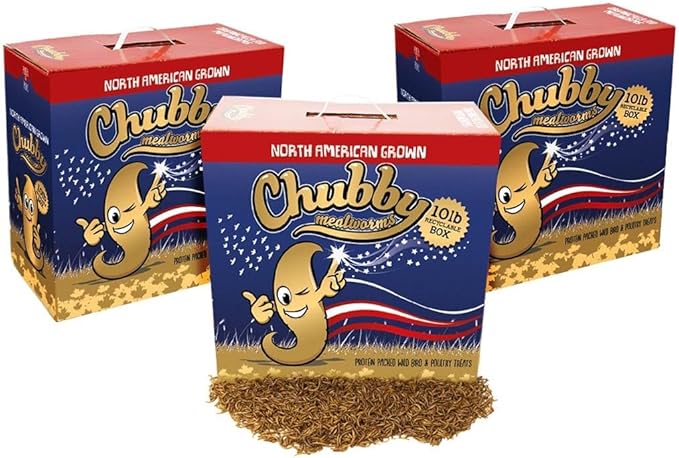 30Lbs Recyclable Box of Chubby North American Grown Dried Mealworms (Non-GMO) - Chicken/Duck Treats