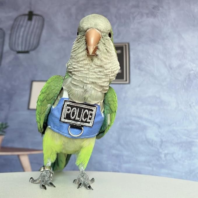 Bird Flight Harness Vest, Parrot Flight Suit with Leash, Bird Flying Clothes with Rope and Handle for Outdoor Activities (Without Leash,Common Hill Myna)