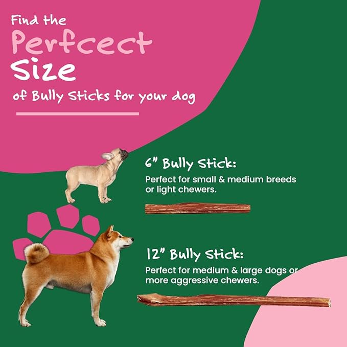Willow&I Bully Sticks for Dogs -12 Inch Natural Bully Sticks for Medium, Large & Small Dogs- Premium 100% Grass Fed, Single Ingredient, Long Lasting, High Protein, Odor Free (12", 5 Pack)