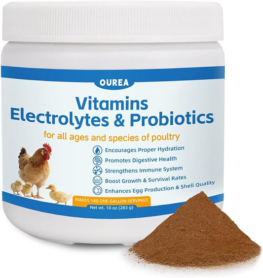 Chicken Vitamin, Electrolyte & Probiotic Supplement - Support Hydration Digestion Immunity Egg Production – Poultry Supplement for Chickens, Ducks, and All Ages of Birds – All-Season Use,10oz Powder