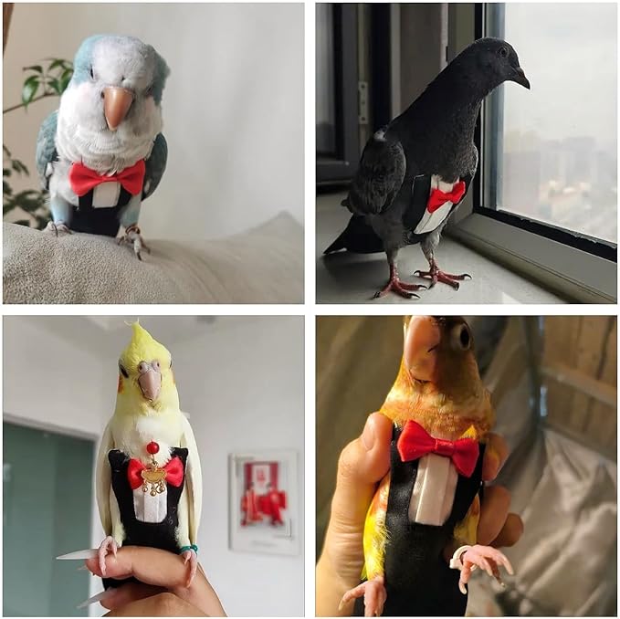 Bird Diapers Bird Harness Tuxedo Flight Suits with 80in Flying Leash Parrot Nappy with Waterproof Inner Layer Urine Wet Suite for Cockatiel Conure Parakeet Macaw Budgie-Black,S