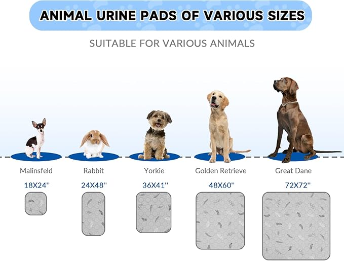 Sunheir Washable Pee Pads for Dogs Large 48" x 48" 2-Pack Reusable Puppy Pads Pet Training Pads, Absorb Dog Mats, Whelping Pad, Non-Slip Protects Against Urine Leakage (Leaves - Sky Blue, 48x48)