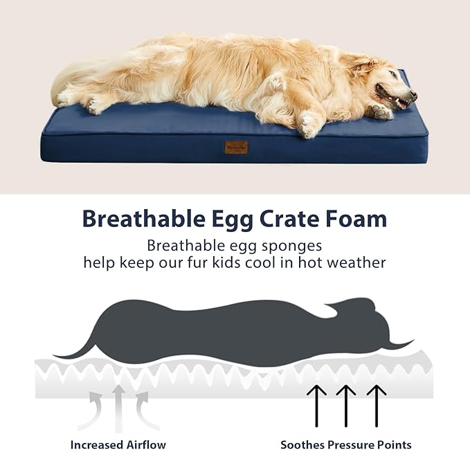 BFPETHOME Outdoor Dog Bed for Large Dogs, Waterproof, Orthopedic with Removable Washable Cover, Egg Crate Foam - 54 x 36 in, Navy