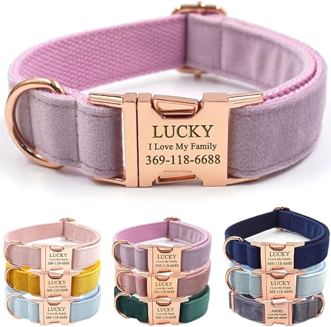 PETDURO Custom Dog Collar Personalized with Name Engraved Quick Release Rose Gold Metal Buckle for Large Medium Small Girl Dogs - Dog Leash and Bow Tie Available - Soft Comfy Velvet (Purple, XS)
