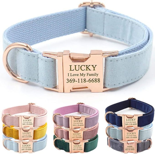 PETDURO Custom Dog Collar Personalized with Name Engraved Quick Release Rose Gold Metal Buckle for Large Medium Small Girl Dogs - Dog Leash and Bow Tie Available - Soft Comfy Velvet (Light Blue, XL)