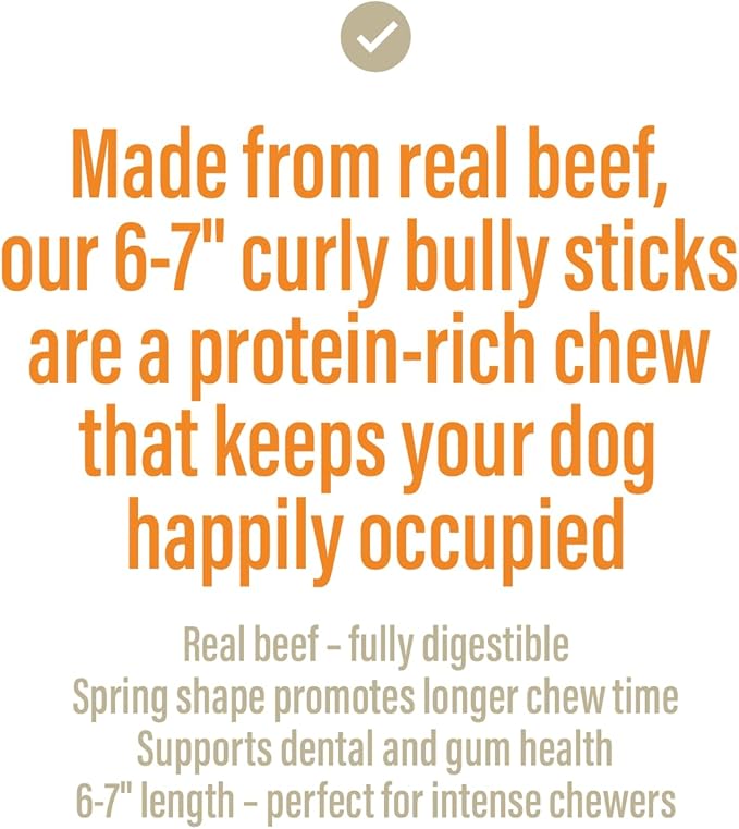Chewer's Joy Bully Spring Chews (6 Count) – Natural Dog Treats – Single Ingredient Long-Lasting Chews, High Protein