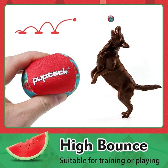 PUPTECK Floating Dog Pools Water Toys, Bouncing Balls 2 Pack for Summer Swimming Pool Games, Interactive Puppy Training Toy with Cute Pineapple and Watermelon Pattern
