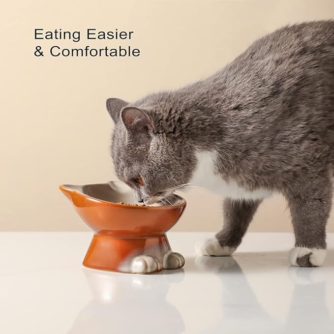 Nihow Elevated Cat/Dog Bowls: 5 Inch Ceramic Raised Cat Food & Water Bowl Set for Protecting Pet's Spine - Feeding & Watering Supplies for Pets - Elegant Brown (4.5 OZ /1 PC)
