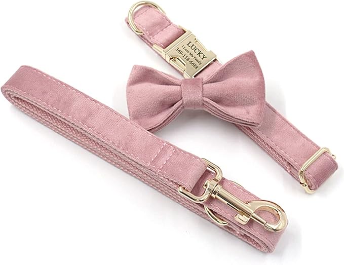 PETDURO Custom Dog Collar Personalized with Name Engraved Gold Metal Buckle for Large Medium Small Girl Dogs - Dog Leash and Bow Tie Available - Soft Comfy Velvet (Champagne Pink, XS)