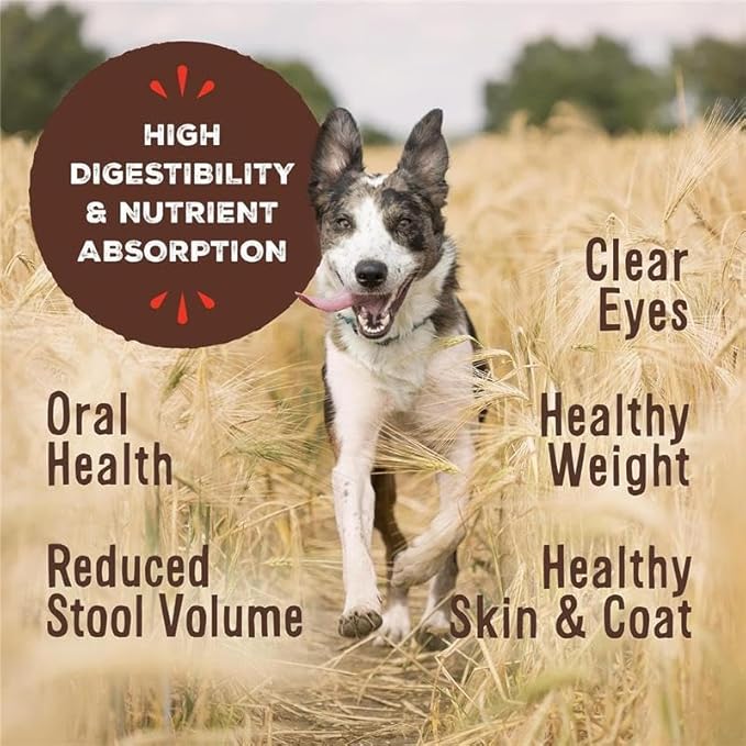 Primal Freeze Dried Raw Dog Food Nuggets, Lamb, Complete & Balanced Meal, Also Use as Topper or Treat, Premium, Healthy, Grain Free, High Protein Raw Dog Food, 14 oz