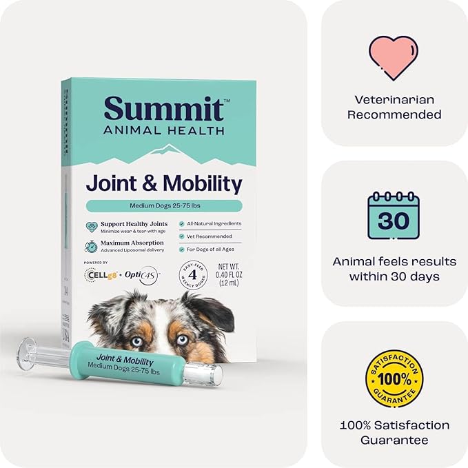 Summit Canine Joint and Mobility Supplement for Medium Dogs, All Natural Liquid Chondroitin, Liposomal Delivery for Arthritis, Hip & Joint Support Vitamin, (Dogs, 25-75lbs)