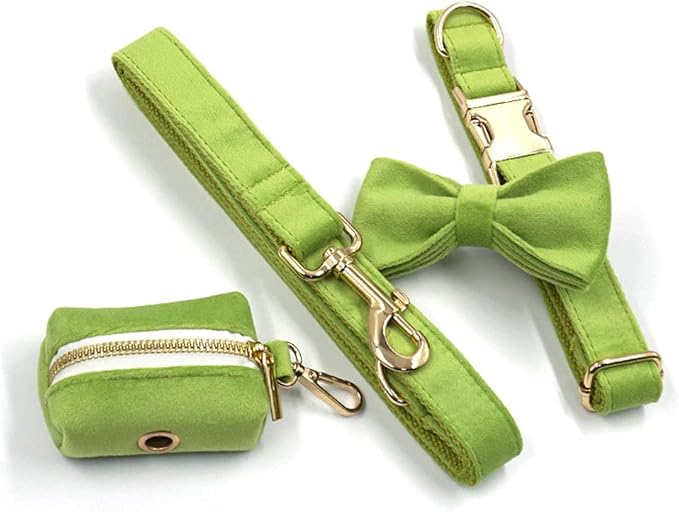 PETDURO Custom Dog Collar Personalized with Name Engraved Quick Release Rose Gold Metal Buckle for Large Medium Small Girl Dogs - Dog Leash and Bow Tie Available - Soft Comfy Velvet (Green, XL)