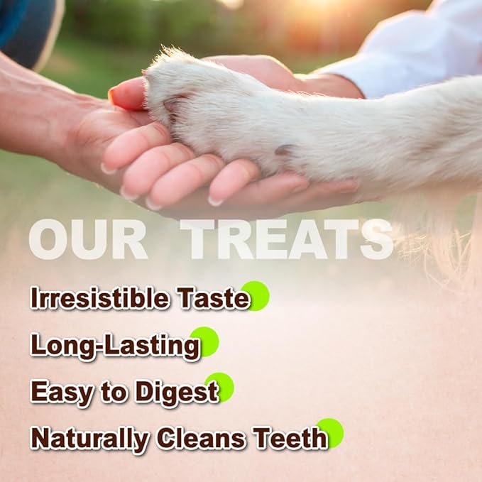 AFreschi Turkey Tendons for Dogs, USA-Sourced, Healthy Dog Treats, Rawhide-Free Puppy Chews, Long Lasting, All Natural, Hypoallergenic Dog Treats for Large Breeds, 1 Count Pack Pretzel (L)