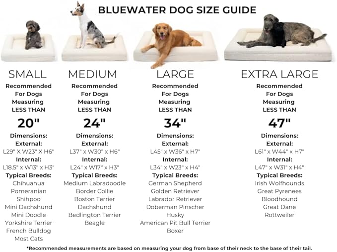 Luxury Boucle Orthopedic Memory Foam Dog Bed with Waterproof Liner and Machine Washable Cover with YKK Zippers (X-Large, 61" L x 44" W x 7" Th, Cloud)