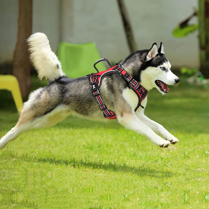 PoyPet No Pull Dog Harness, No Choke Front Clip Reflective Dog Vest with Soft Padded Vertical Handle, 3 Leash Attachments for Small Medium Large Dogs (Red,S)