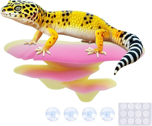 Mushroom Decor for Reptile Tank, Fish Tank, Pet-Safe Bearded Dragon Tank Accessories, Realistic Terrarium Plants for Crested Geckos, Frogs (Rainbow Trio Cap, Randomly Shipped from 3 Styles)