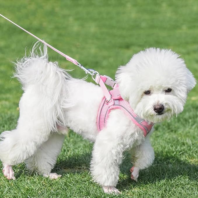AIITLE Dog Harness, Summer No-Pull Cat Harness with a Leash, Adjustable Reflective Dog Vest, Cat Harness Escape Proof, Outdoor Walking, Camping for Extra Small Dogs and House Cats Pure Pink XXXS