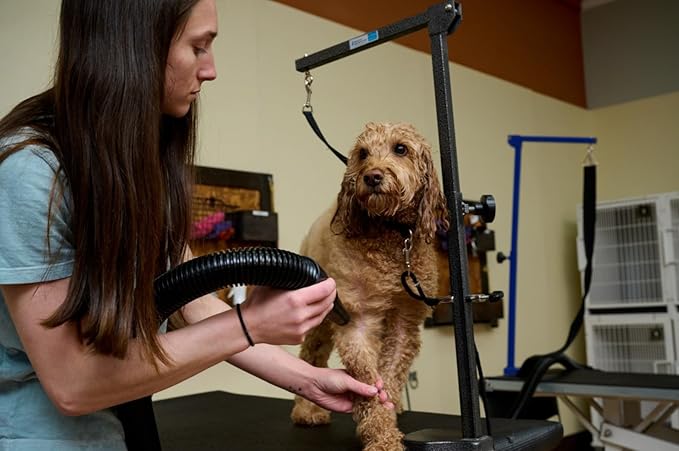 METROVAC MB-3V Air Force Master Blaster Pet Grooming Dryer | Variable Speed High Velocity Dog Hair Blower USA