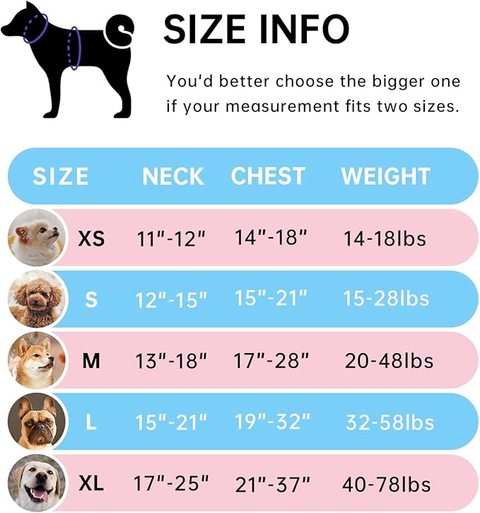 IVY&LANE No Pull Dog Harness with Leash Set, Reflective No Choke Pet Vest,Adjustable Oxford Dog Vest Harness with Easy Control Handle for Large Dogs (Checkered Blue,L)
