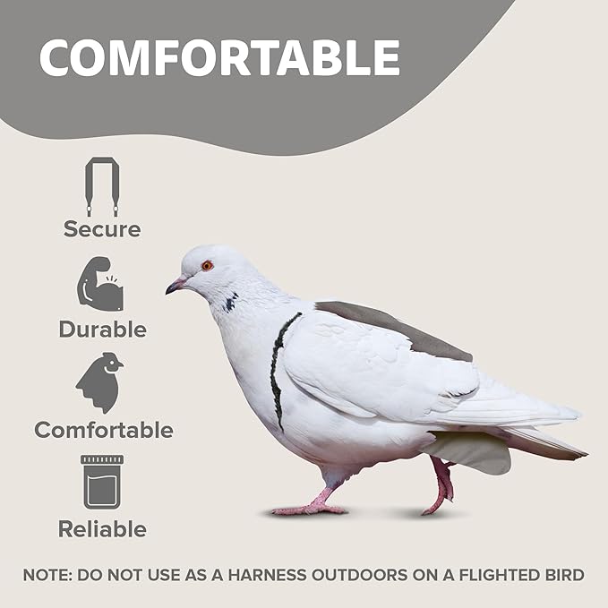 Bird Diaper, Wrap Around, for Larger Pigeons, Small Breed Hens and Roosters, Leak-Proof Design, Comfortable Fleece Strap Bird Harness with Sewn-in Liner & Secure Hook and Loop Closure - XS, Gray