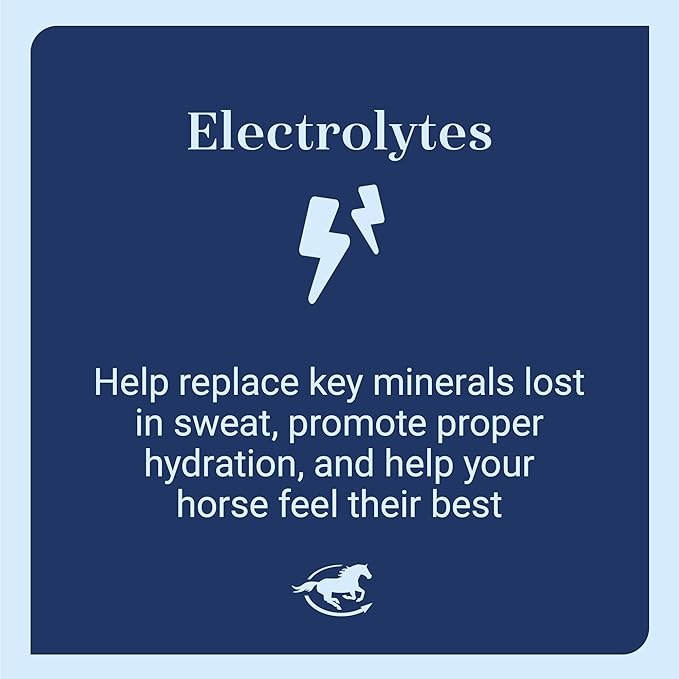 SmartLytes Horse Electrolyte Powder Supplement | Encourages Hydration, Replenishes Electrolytes | No Added Sugar | Cherry Flavor | 56 Servings | 3.7 lb Bucket