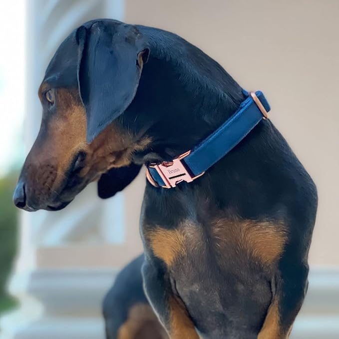 PETDURO Personalized Dog Collar Navy Blue Soft Velvet for Large Medium Small Boy Girl Dogs - Custom Collar with Name Phone Engraved on Rose Gold Metal Buckle - Add Matching Leash Set via Customize Now