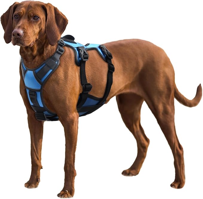 AUROTH Dog Harness, Escape Proof Dog Harness for Large Dogs, No Pull Dog Harness with Lift Handle, Soft Padded Reflective Adjustable Dog Vest Harness, Large Dog Harness for Walking Hiking Training