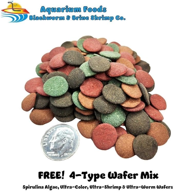 Aquatic Foods Inc. Red River Shrimp - Freeze-Dried 3/8" to 1/2" Red River Shrimp for Cichlids, Koi & Pond Fish, Aquatic Turtles, All Community Tropical Fish, Reptiles, Rodents…2.8oz Med Round Jar