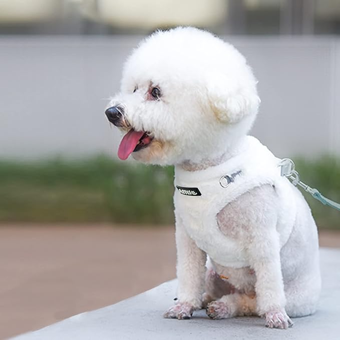 AIITLE Step in Dog Vest Harness and Leash Set - No Pull Escape Proof Dog Harness with Safety Buckle and Reflective Bands, Lightweight Pet Outdoor Harnesses for Medium Dogs White M
