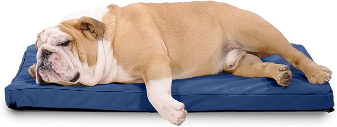K9 Ballistics Tough Ripstop Orthopedic Crate Bed - Durable Kennel Pad with Washable Cover for Puppies and Medium Dogs, 35 x 22 fits 36” Wire Crate, Blue Quartz