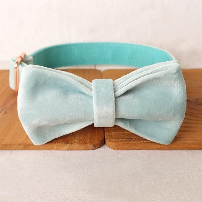 PETDURO Custom Dog Collar Personalized with Name Engraved Quick Release Rose Gold Metal Buckle for Large Medium Small Girl Dogs - Dog Leash and Bow Tie Available - Soft Comfy Velvet (Mint Blue, XL)